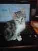 Stewart Wernberg's picture